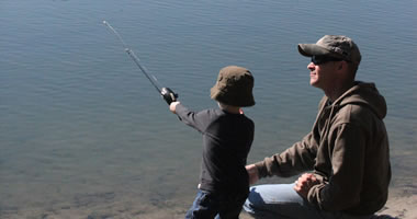 Describe the photo or the page it links to